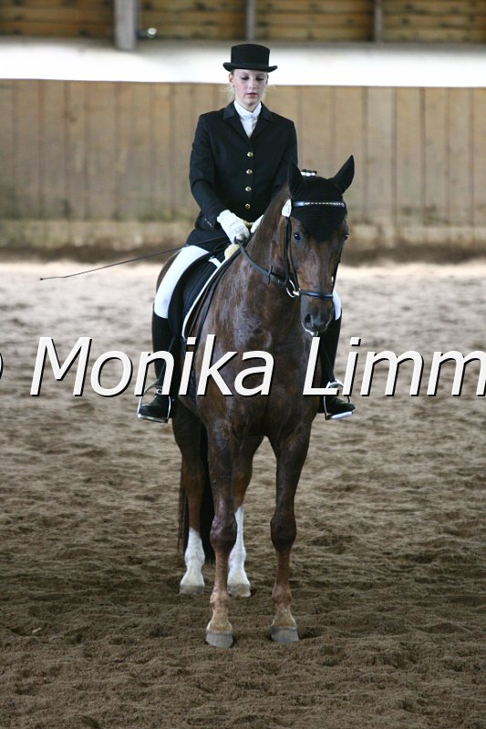 006M4931_Dressur A.JPG